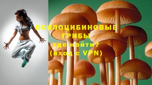 дживик Алексин