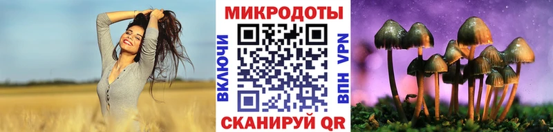 наркотики Анапа Псилоцибиновые грибы мицелий