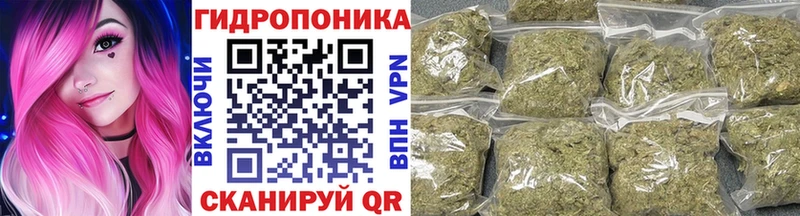 Марихуана ГИДРОПОН  Анапа 